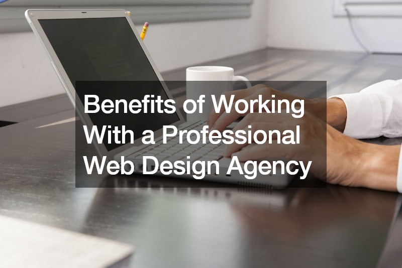 Benefits of Working With a Professional Web Design Agency