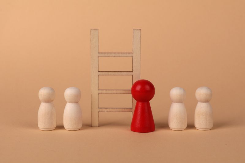 career ladder